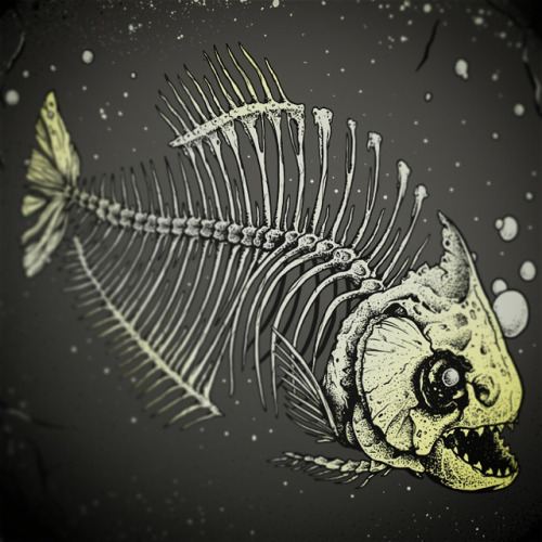 500x500 Fish Skeleton Drawing
