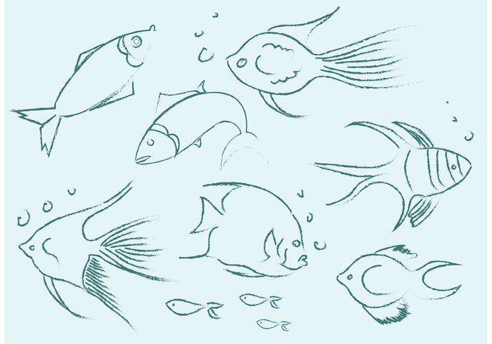 700x490 Free Vector Fish Sketches