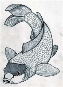 218x300 Drawings Koi Fish Drawings