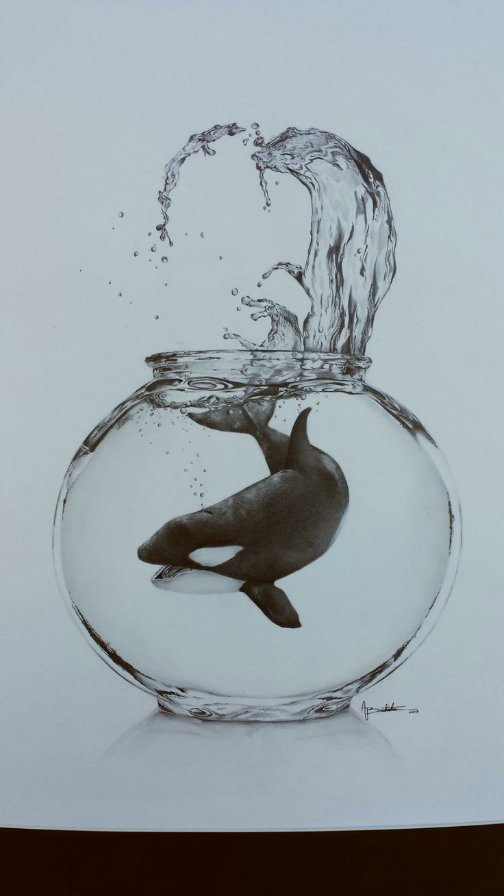 736x1308 Fish Sea Life Orca Whales Fish, Drawings