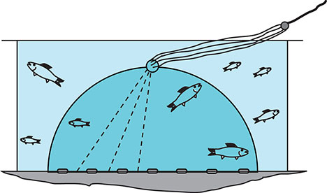 468x276 Fish Cast Net Drawing 2.jpg