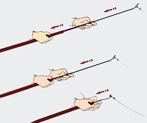 300x252 Telescopic Fishing Poles Japan Carbon All Fishing Buy.