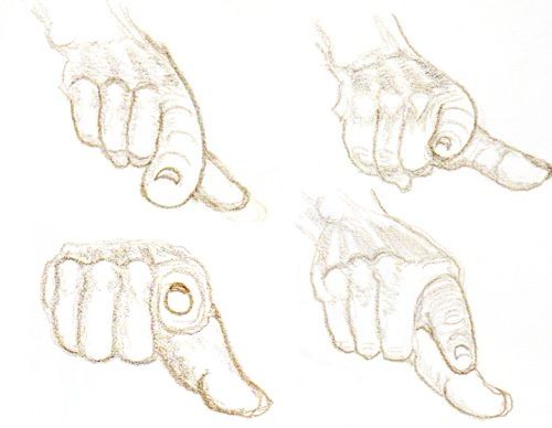 500x388 Image Result For Fists Drawing Foreshortening Projects To Try