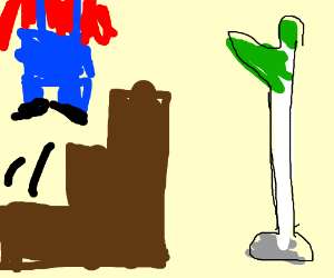 300x250 The Mario End Scene With The Flag Pole