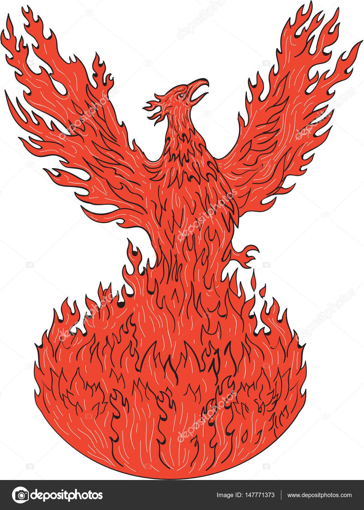 1213x1700 Phoenix Rising Fiery Flames Drawing Stock Vector Patrimonio