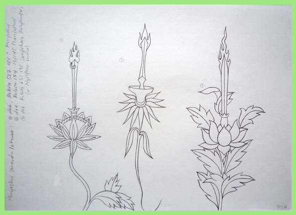 594x432 Himalayan Stories Ink Drawings By Julie