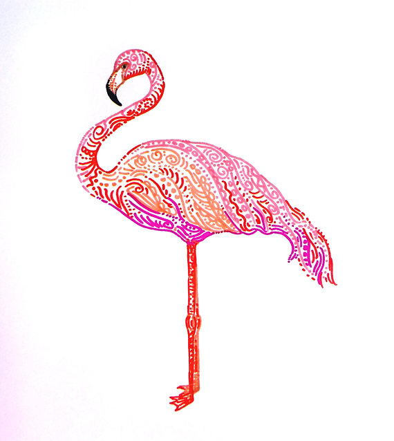570x638 Tropical Pink Flamingo Colorful Flamingo Tropical Birds Pink