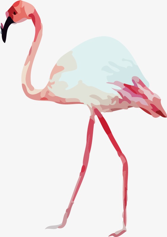 562x799 Drawing Flamingos, Vector Seamless Background, Watercolor Pattern