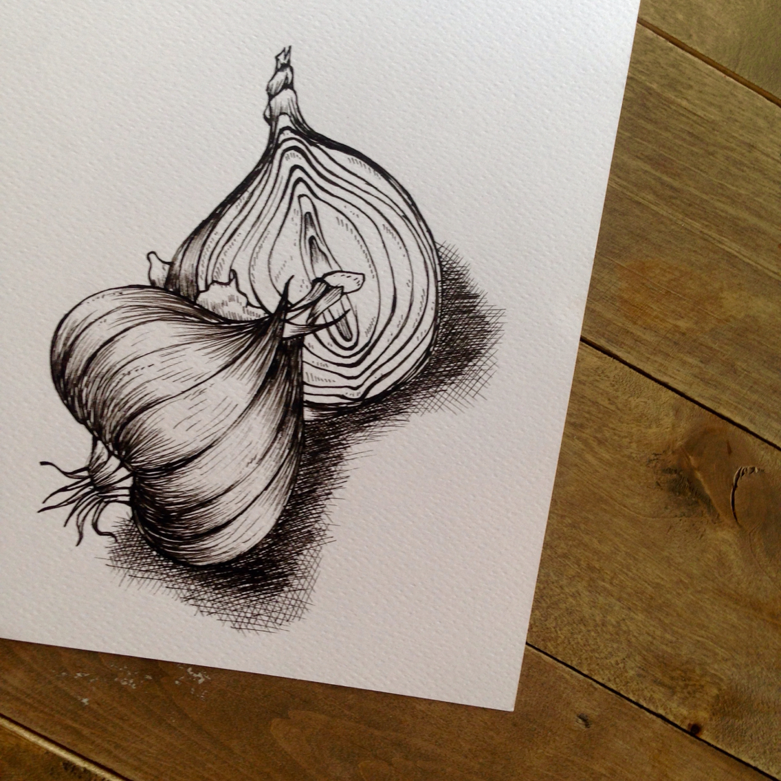 1136x1136 Onions By Flare Pranpreeya. (Myflare) Onion Pigma Pen Drawing