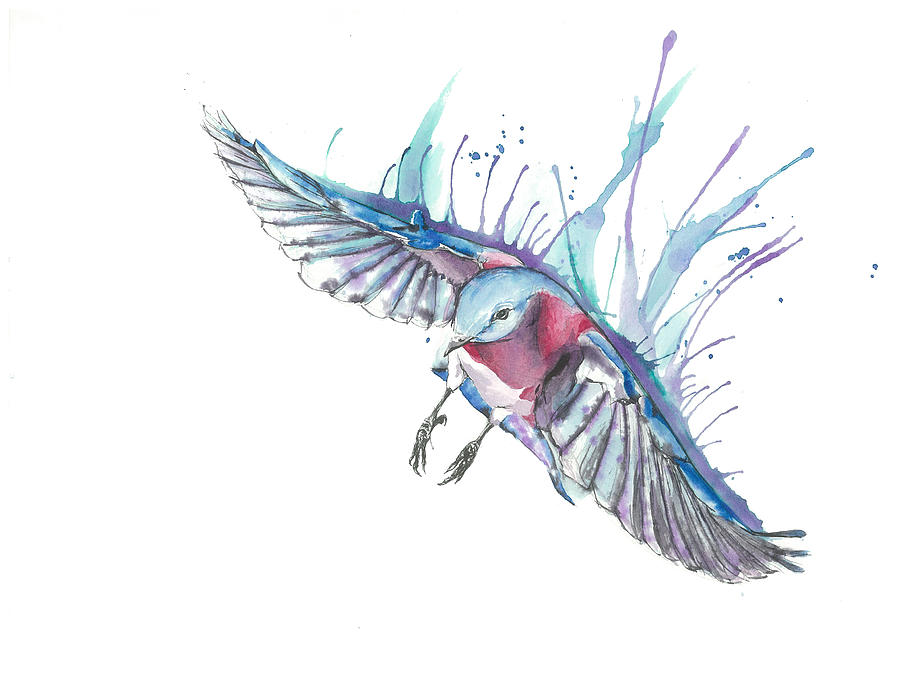 900x698 Bluebird In Flight Drawingpainting Ink And Watercolor Mixed Media
