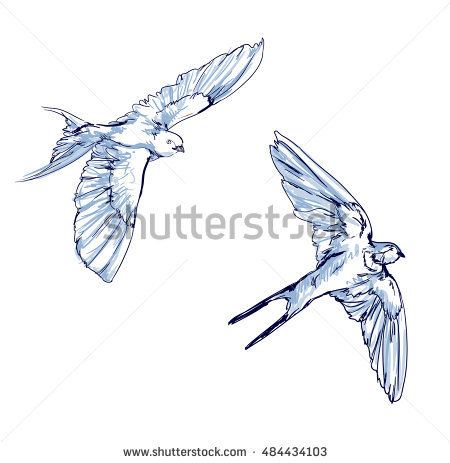 450x463 Drawing Birds In Flight Flying Bird Sketch Stock Images Royalty