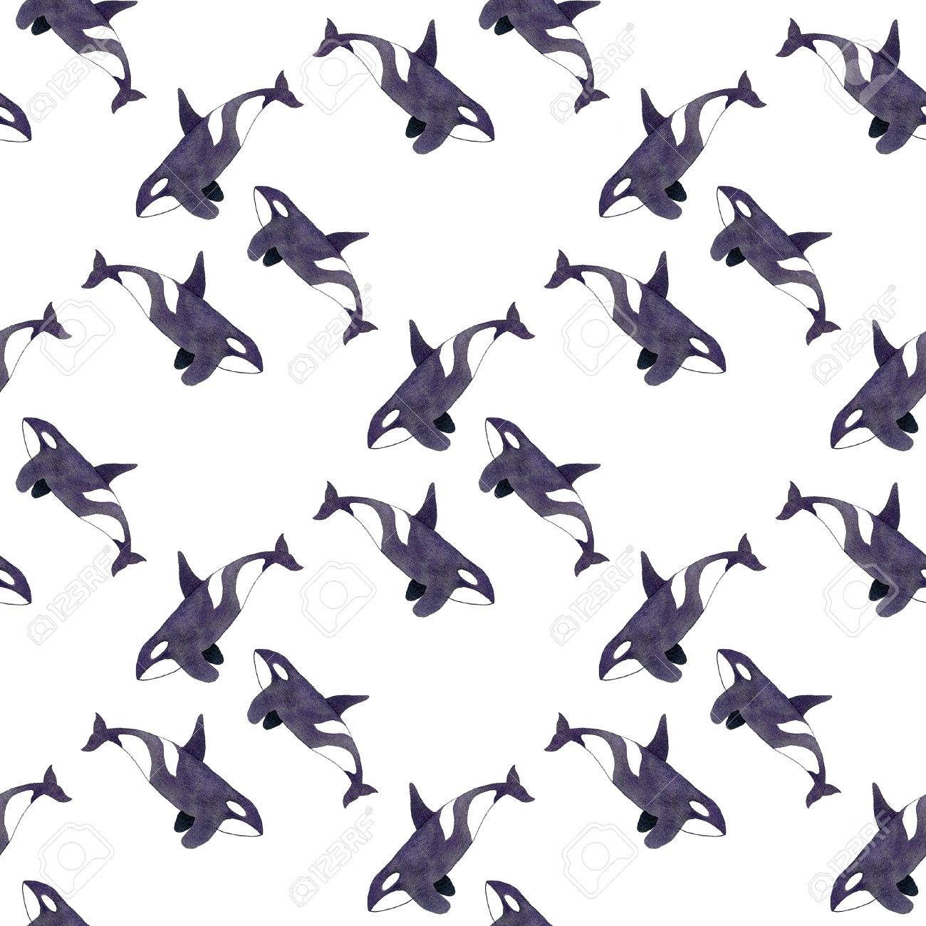 1300x1300 Orca Or Killer Whale. Seamless Pattern With Hand Drawn Animal