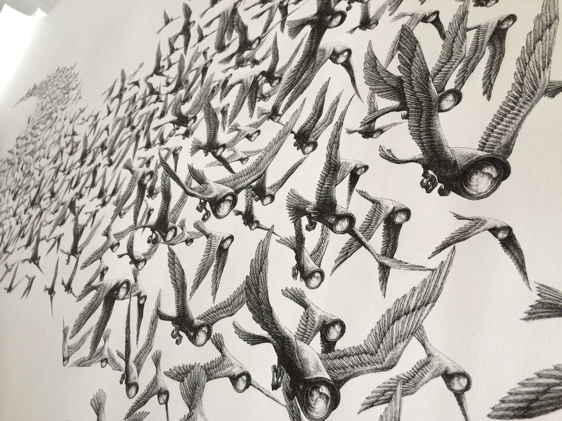 1920x1440 Saatchi Art Flock Drawing By Gianluca Bonomo Cctvylle Project