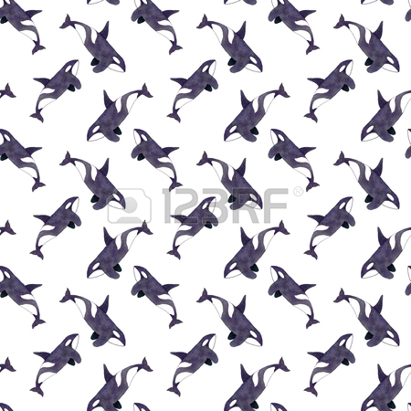 450x450 Watercolor Whales Hand Drawn Illustration On White. Stock Photo