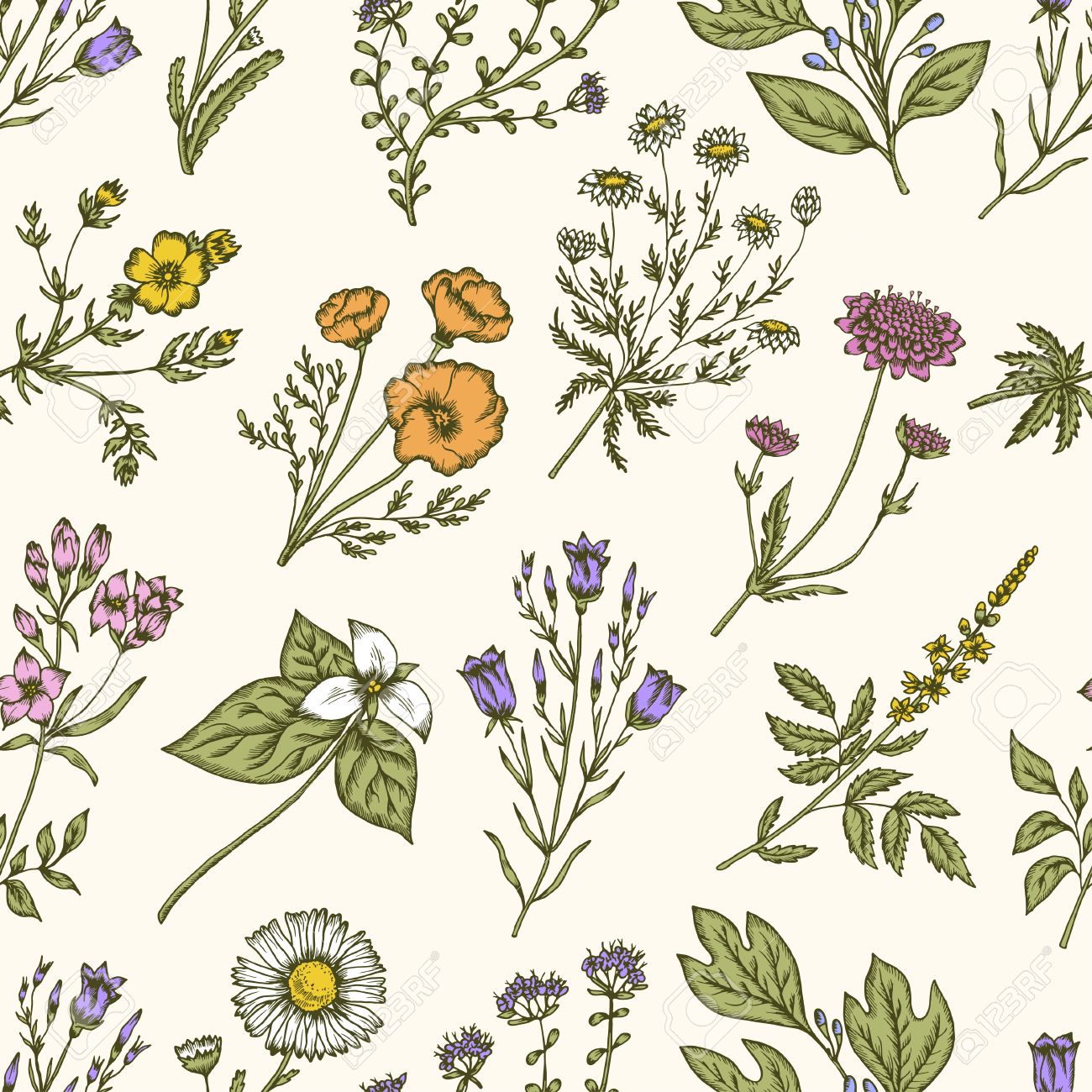 1300x1300 Wild Flowers And Herbs. Seamless Floral Pattern. Botanical Drawing