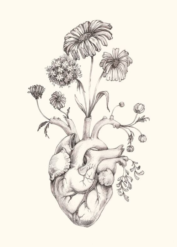 564x789 8x10 Print Of Original Drawing Blooming Heart Graphite, Art