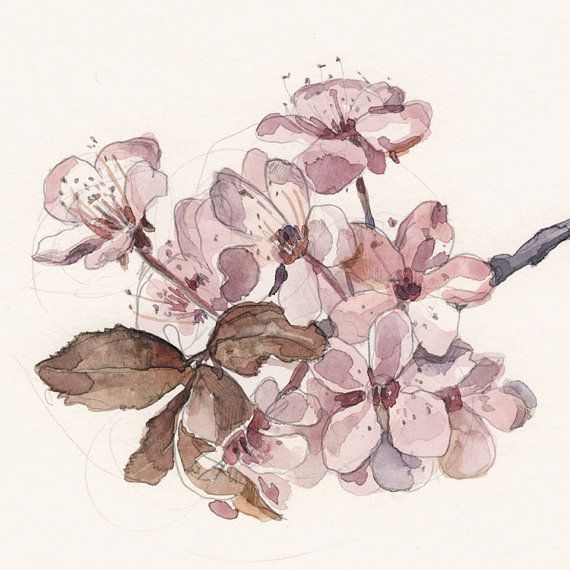 570x570 Cherry Blossom Print