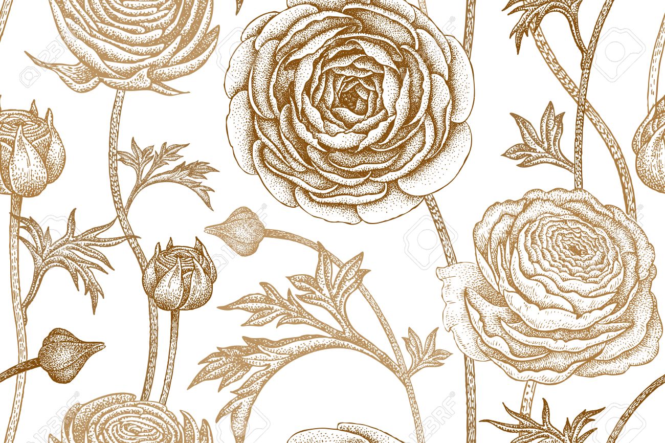 1300x866 Spring Flowers Seamless Floral Pattern. Hand Drawing Garden Plants
