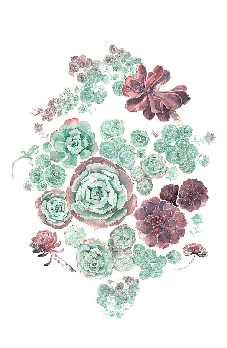 750x1149 Succulent Art Illustrations, Floral And Art