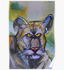 210x230 Florida Panther Drawing Posters Redbubble