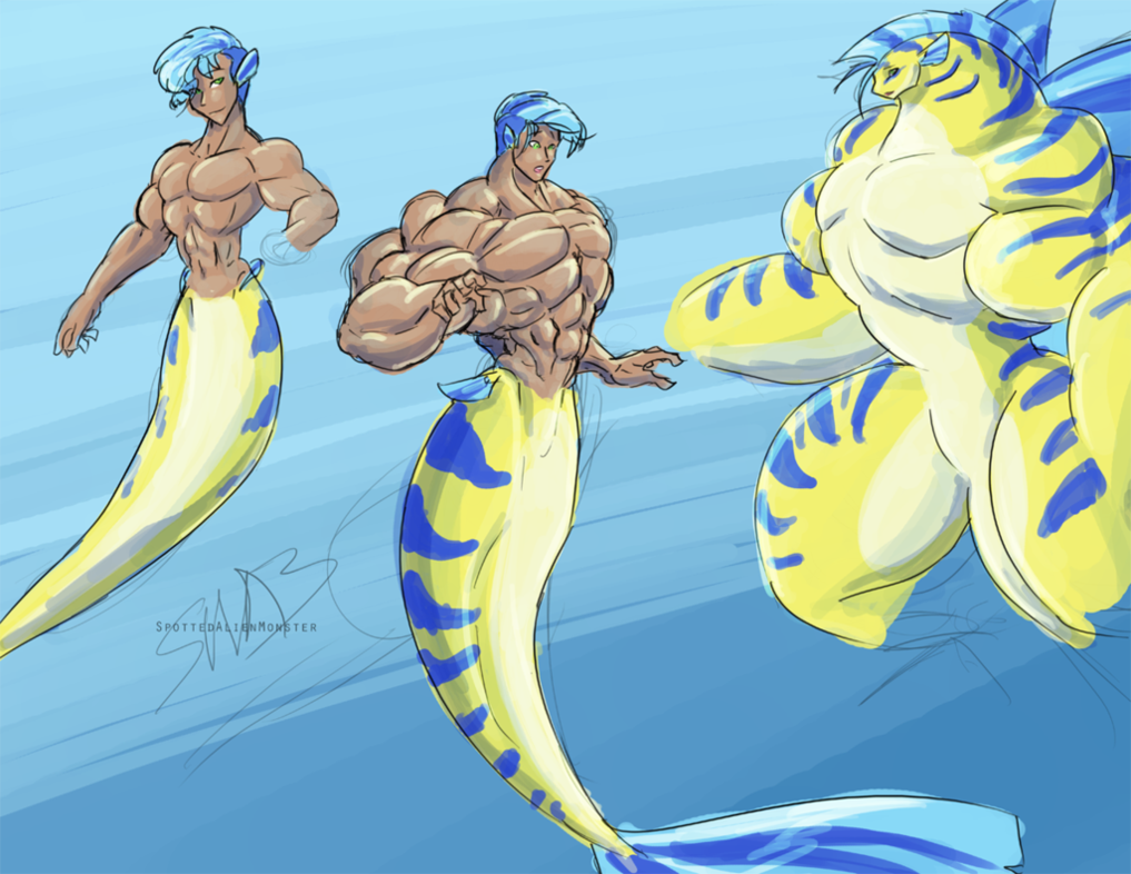 Musclemermaid 