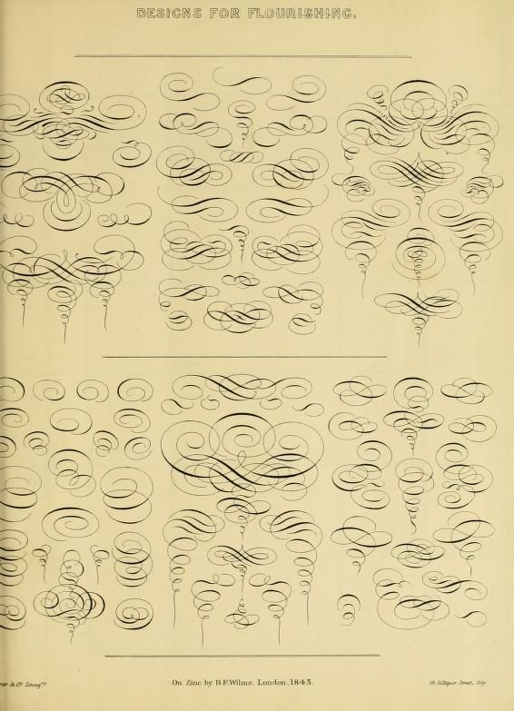 566x783 Sample Flourishes From A Hand Book For Mapping, Engineering,