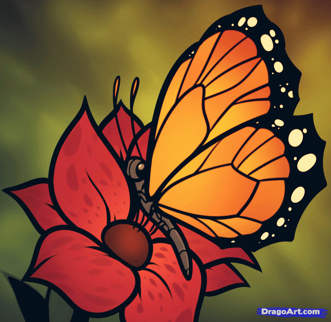 1091x1061 How To Draw A Butterfly On A Flower, Butterfly And Flower, Step By