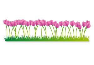 300x210 Flower Bed Drawing