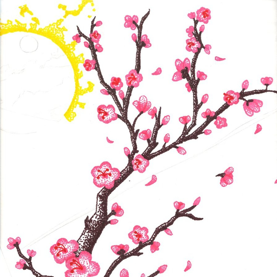 894x894 Drawing Sakura Flower Cherry Blossom Flower Branch Drawing Hand