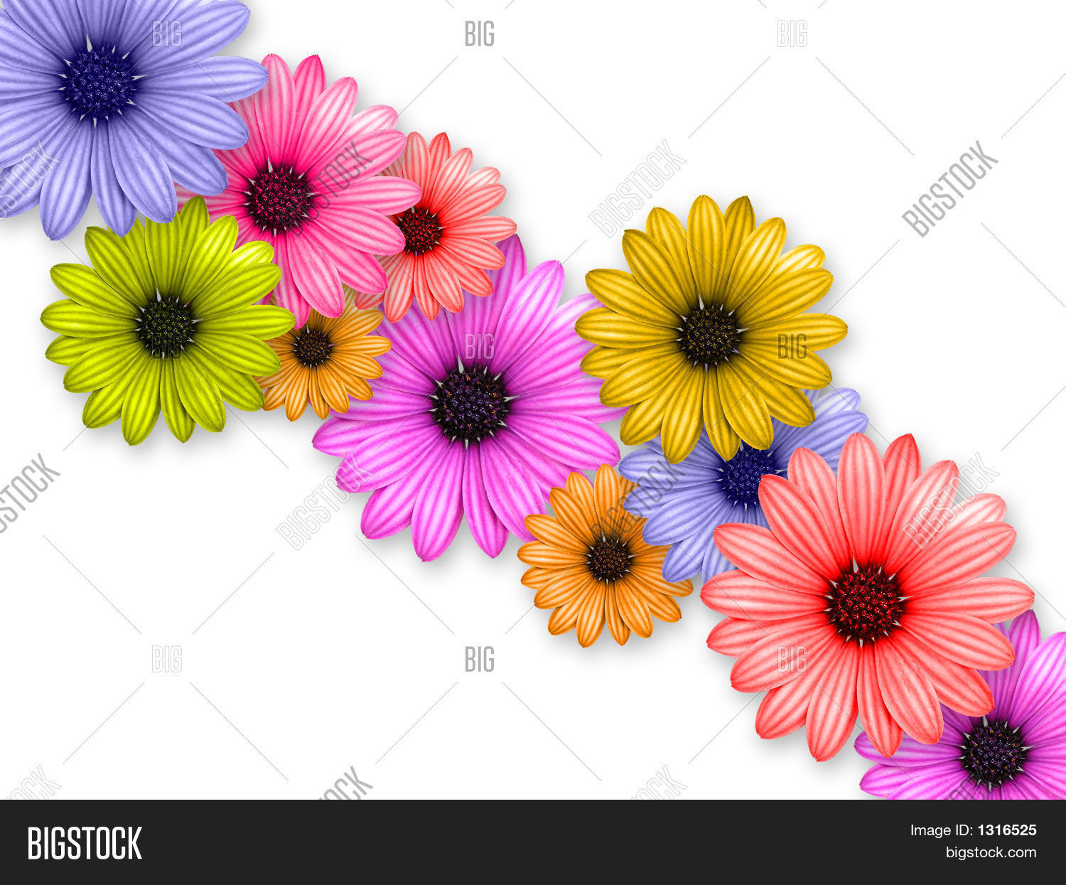 1500x1245 Flower's Chain Image Amp Photo Bigstock