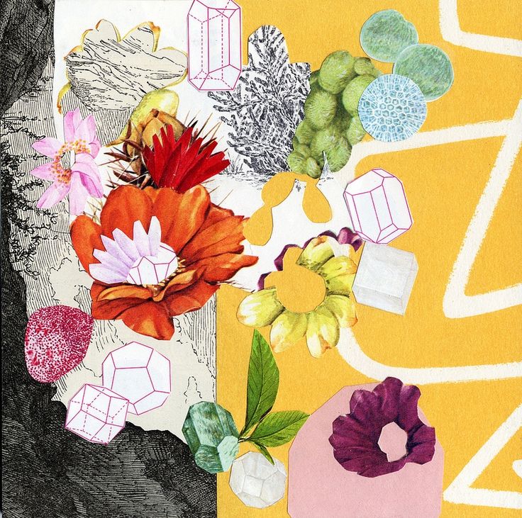 736x731 63 Best Flower Images On Flower Power, Flowers