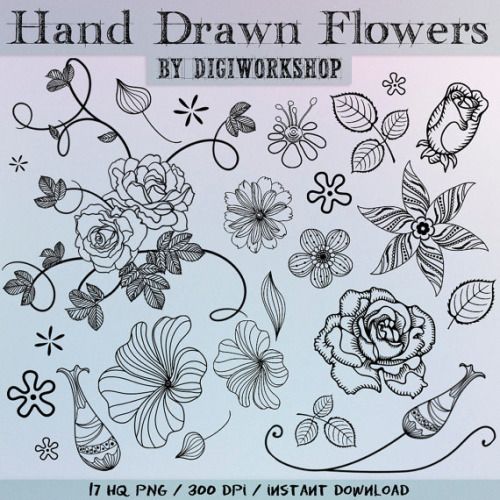 500x500 Hand Drawn Flowers Clipart