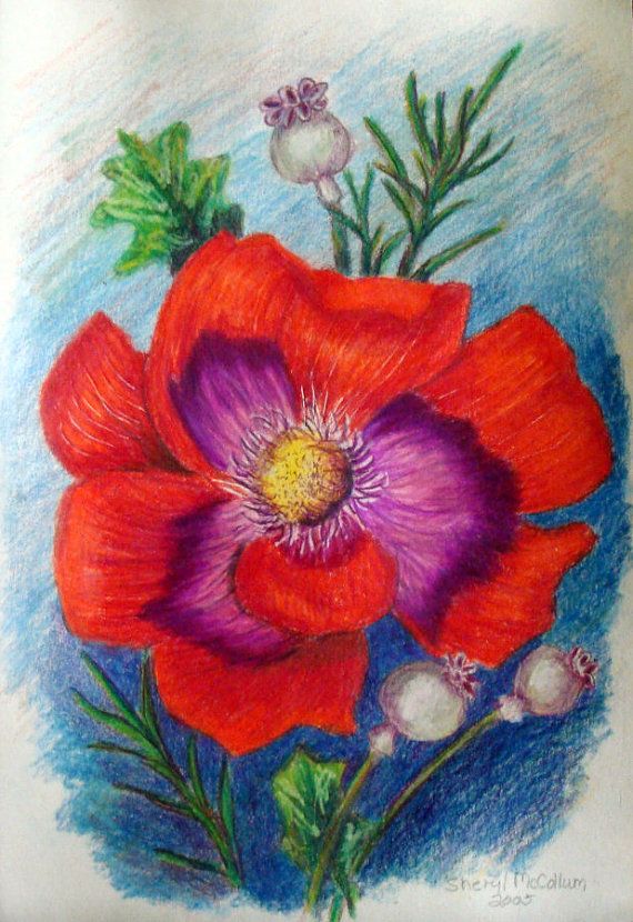 570x830 Red Flower Colored Pencil Drawing Painting 6 X 9 Inch Color