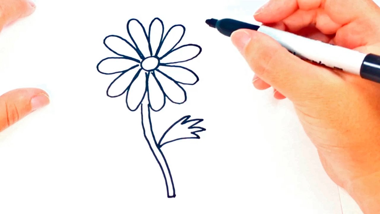 1280x720 How To Draw A Daisy Flower Daisy Flower Easy Draw Tutorial