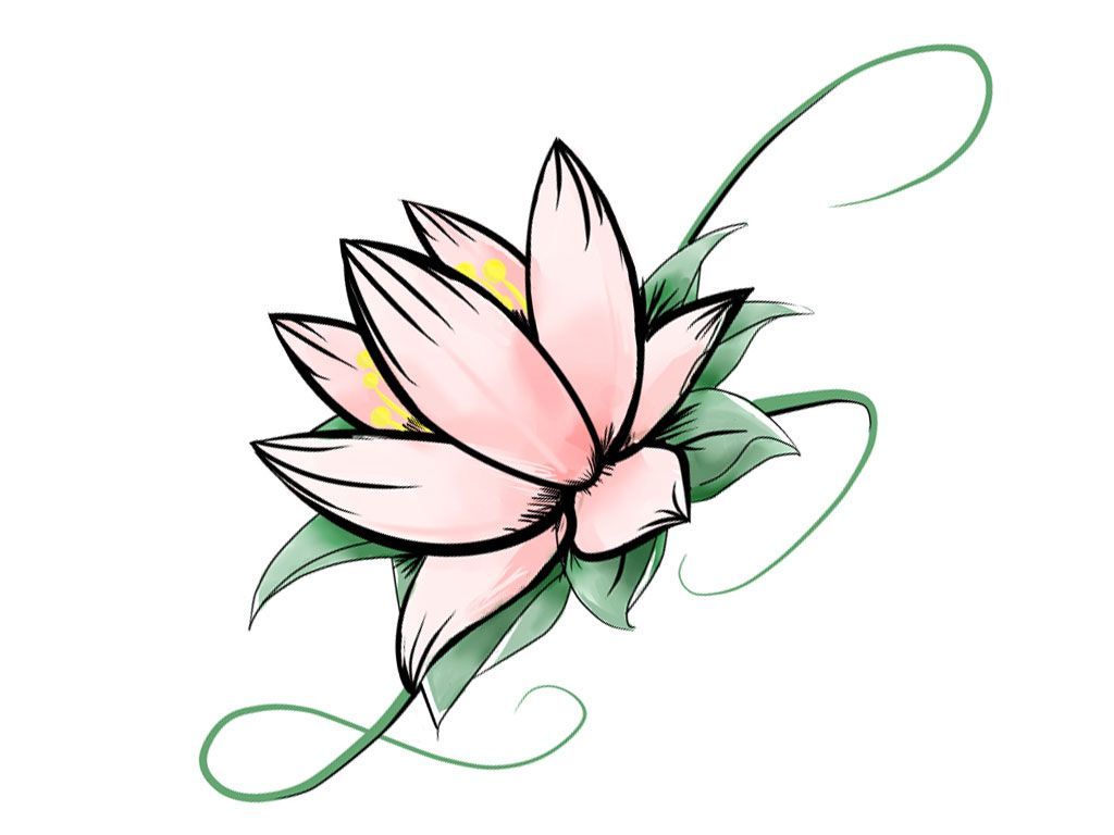 1024x768 Simple Lotus Flower Drawing