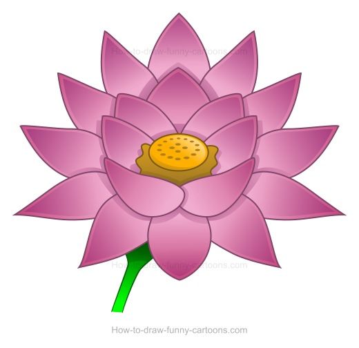 520x504 Clip Art Lotus Flower Free