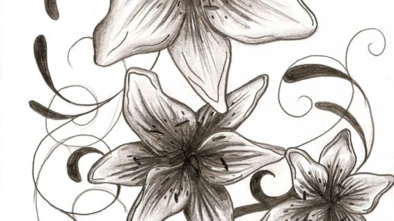 570x320 Simple Flower Designs For Pencil Drawing How To Draw A Simple
