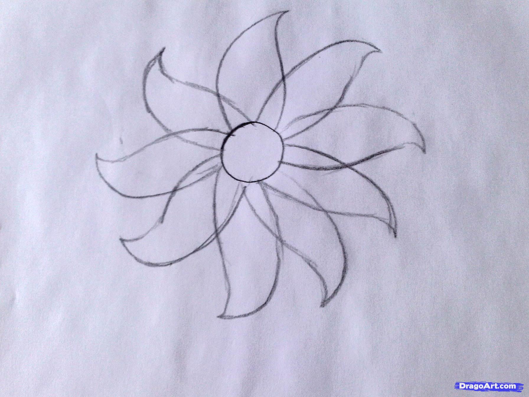 1792x1344 How To Draw A Flower