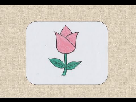 480x360 How To Draw A Flower For Kids