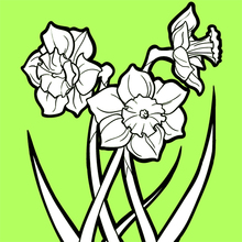 220x220 Flower Drawing For Kids, Coloring Pages, Kids Crafts