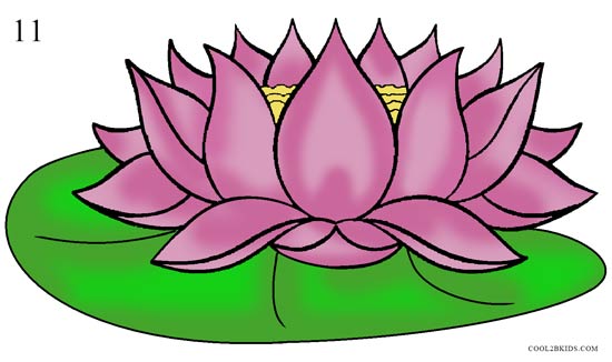 550x326 How To Draw Lotus Flower (Step By Step Pictures) Cool2bkids