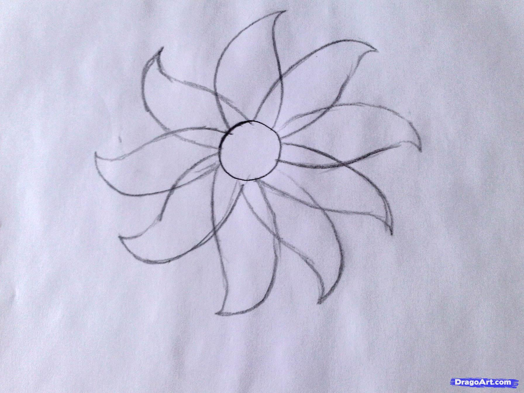 1792x1344 Flower Drawing In Pencil Easy