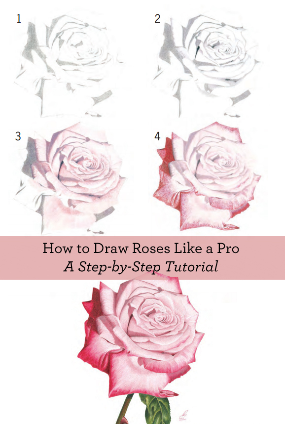 578x858 How To Draw Flowers Free Flower Drawing Guide