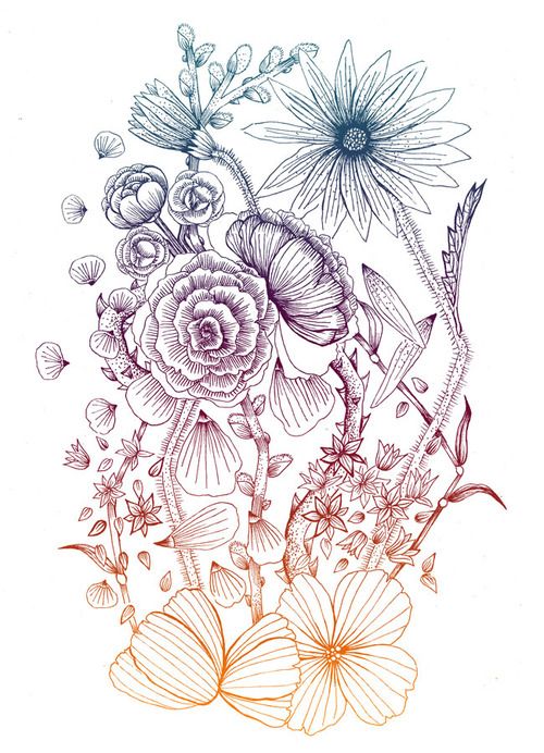 500x692 99 Best How To Draw Tutorials Flowers Images
