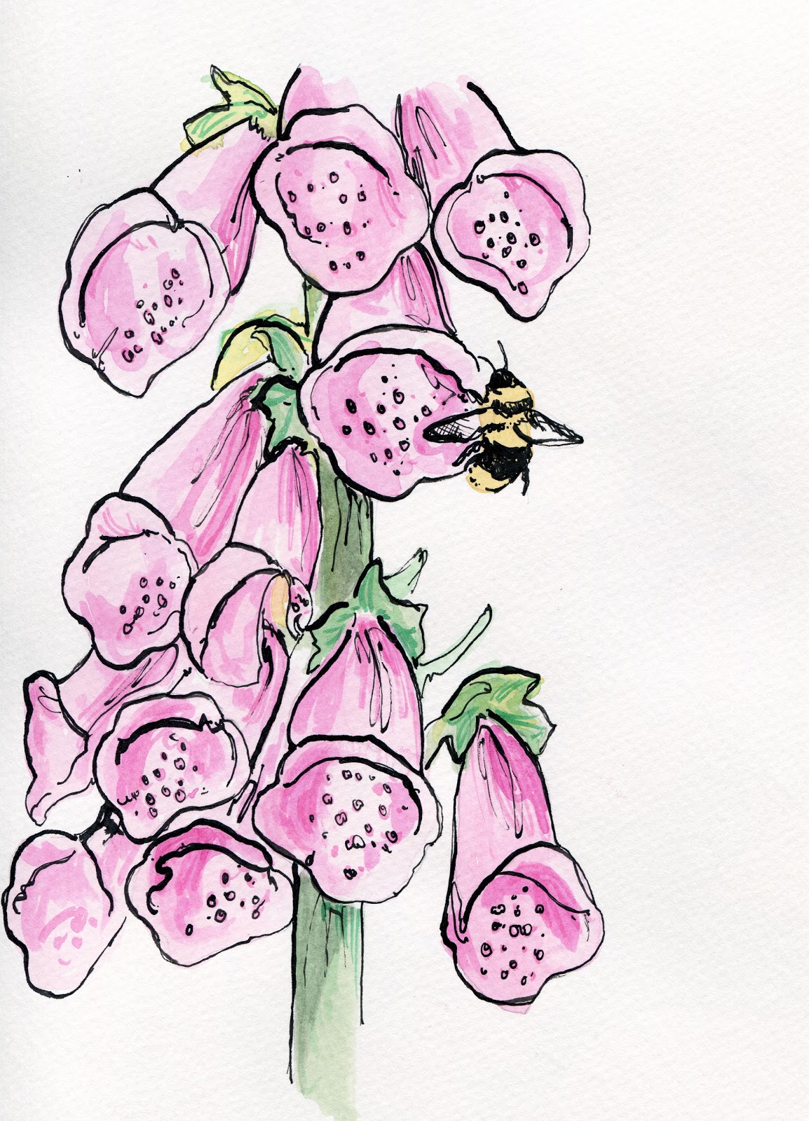 1154x1600 Flower Drawing