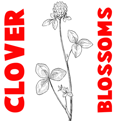 400x400 How To Draw Clover Blossoms A Flower Drawing Tutorial