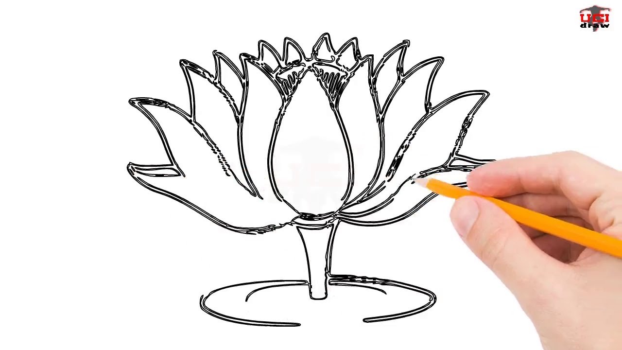 1280x720 How To Draw A Lotus Flower Step By Step Easy For Beginnerskids