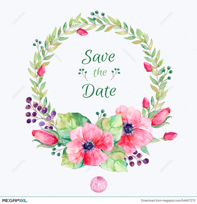 800x830 Vector Flowers Set.colorful Floral Collection With Leaves