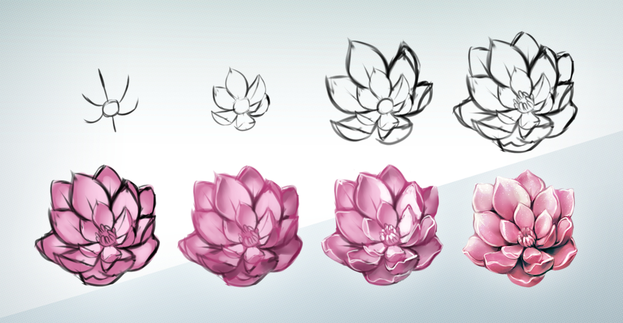 1241x644 Flower Easy Drawing Learn