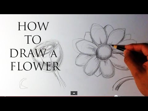 480x360 How To Draw A Flower
